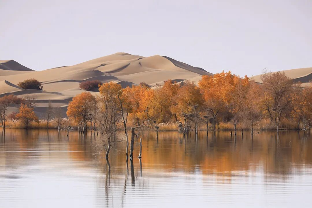 1760318376649521.png 1760318376649521.png