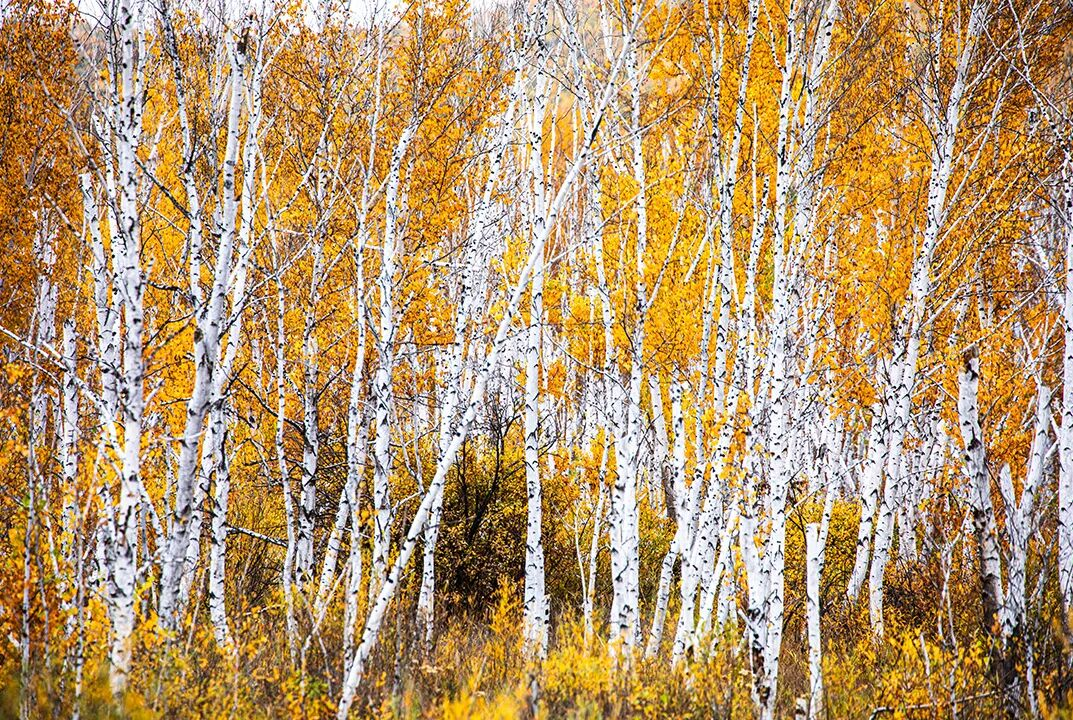 1760318389755681.png 1760318389755681.png