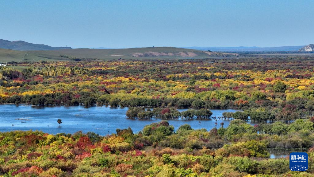 1760923748843853.png 1760923748843853.png