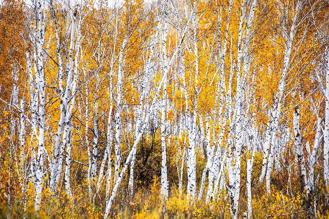 1761212586459579.png 1761212586459579.png