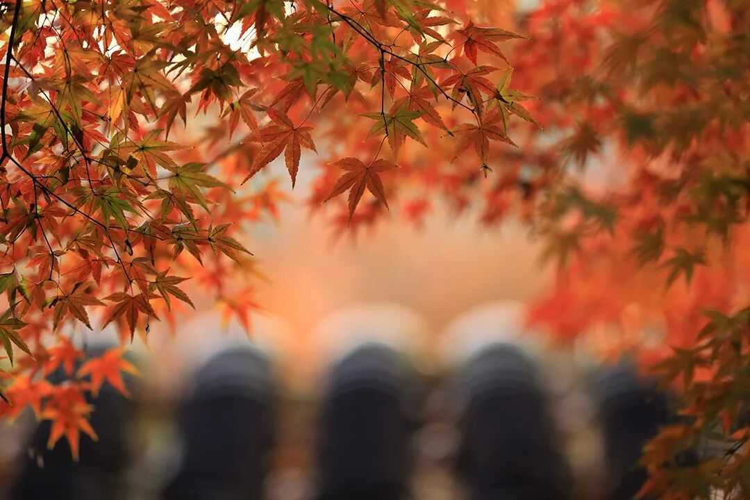 1761212616198806.png 1761212616198806.png