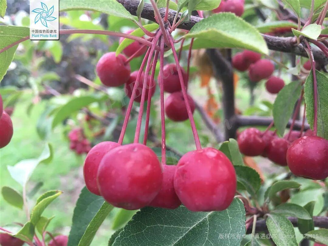 1761794135219505.png 1761794135219505.png