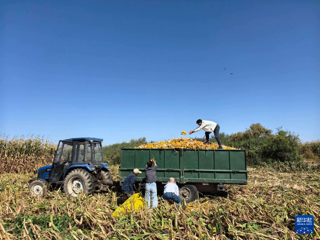 1761804327652146.png 1761804327652146.png