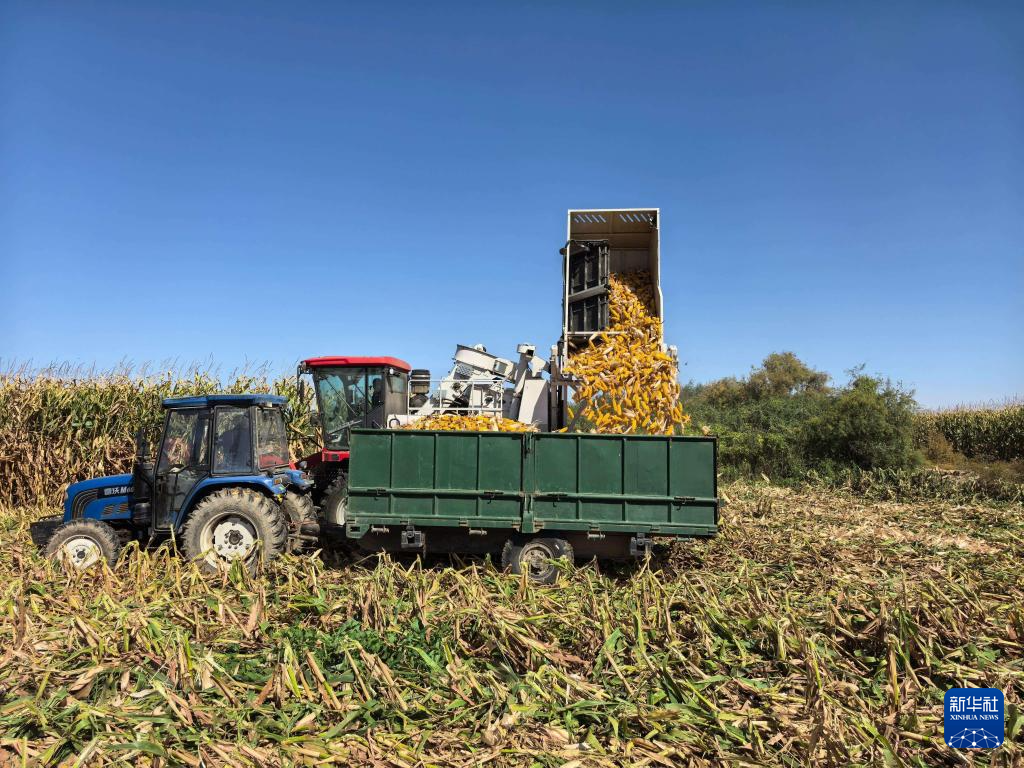 1761804334107678.png 1761804334107678.png