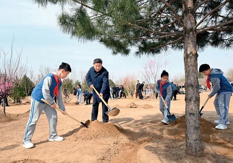 1762141896187661.jpg 1762141896187661.jpg