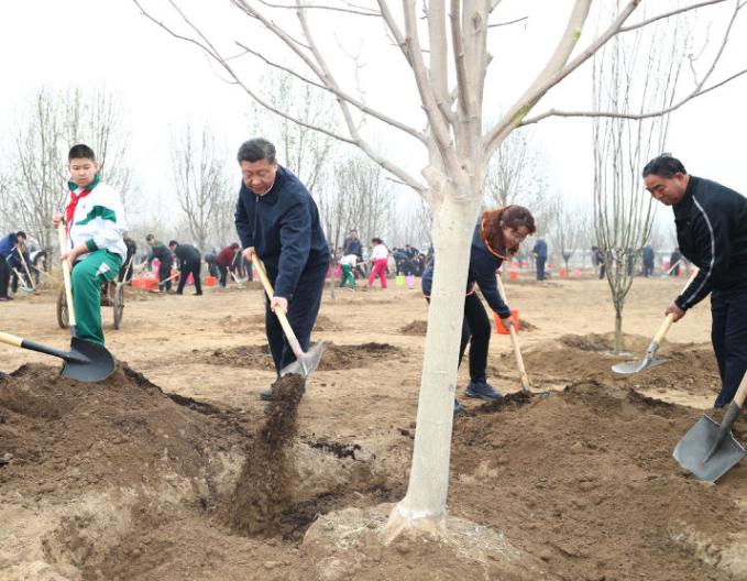 1762141935127176.png 1762141935127176.png