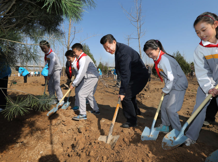 1762141954140726.png 1762141954140726.png