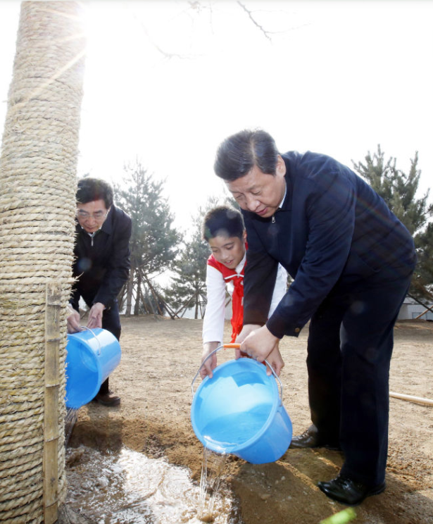 1762141967917308.png 1762141967917308.png