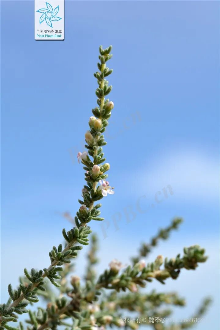 1762825990373903.png 1762825990373903.png