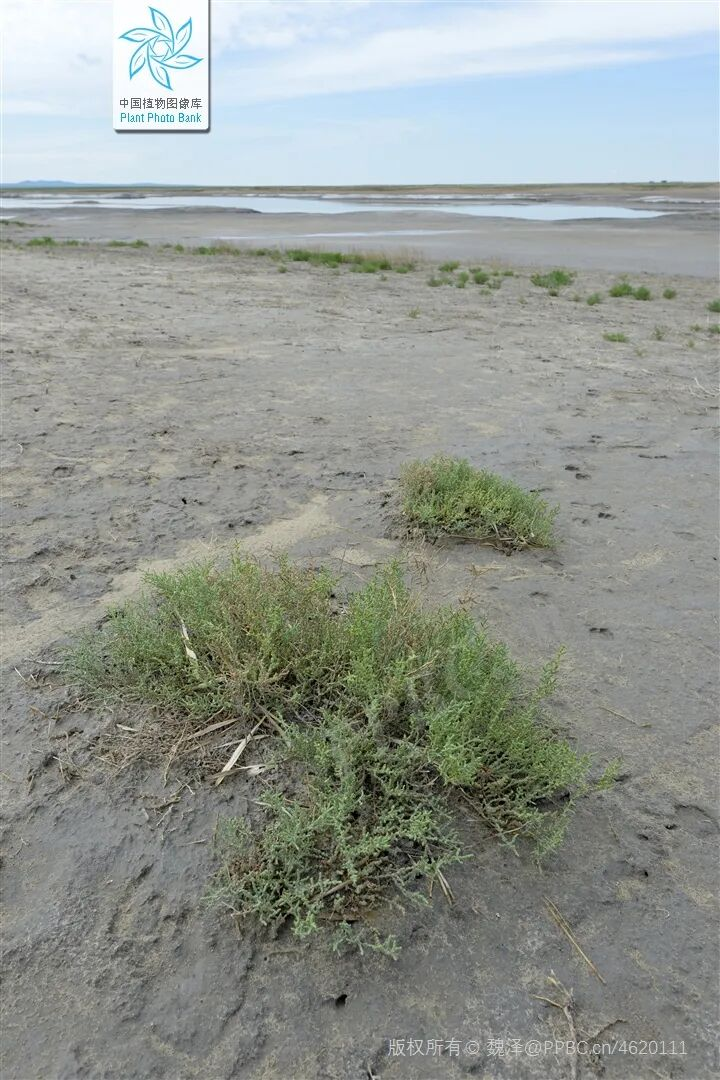 1762825997225357.png 1762825997225357.png