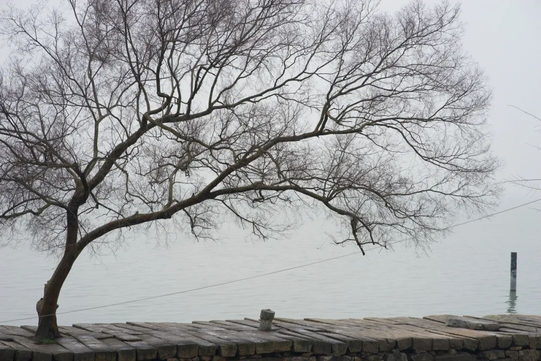 1762827124102630.png 1762827124102630.png