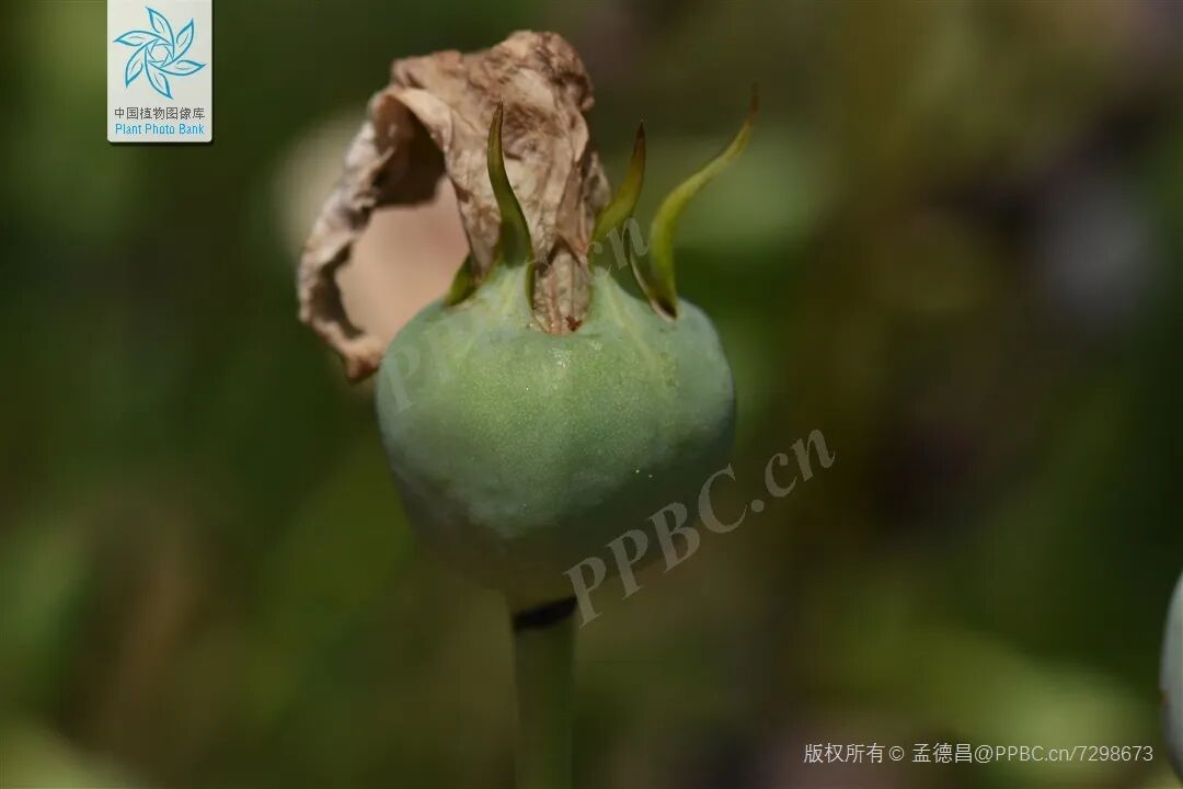 1764033580126423.png 1764033580126423.png