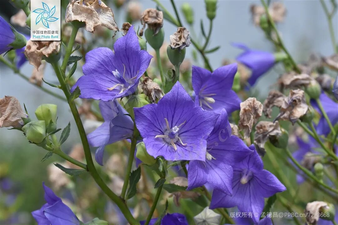 1764033586563113.png 1764033586563113.png