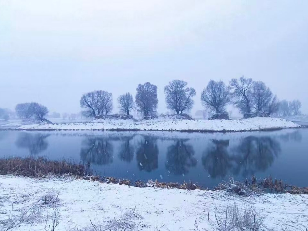 1764568797966665.png 1764568797966665.png