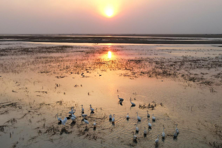 1765526710513799.png 1765526710513799.png